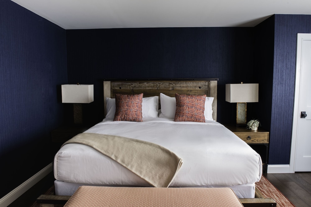 Shandaken King Suite with Fireplace (Only Pet Friendly Room) photo 1