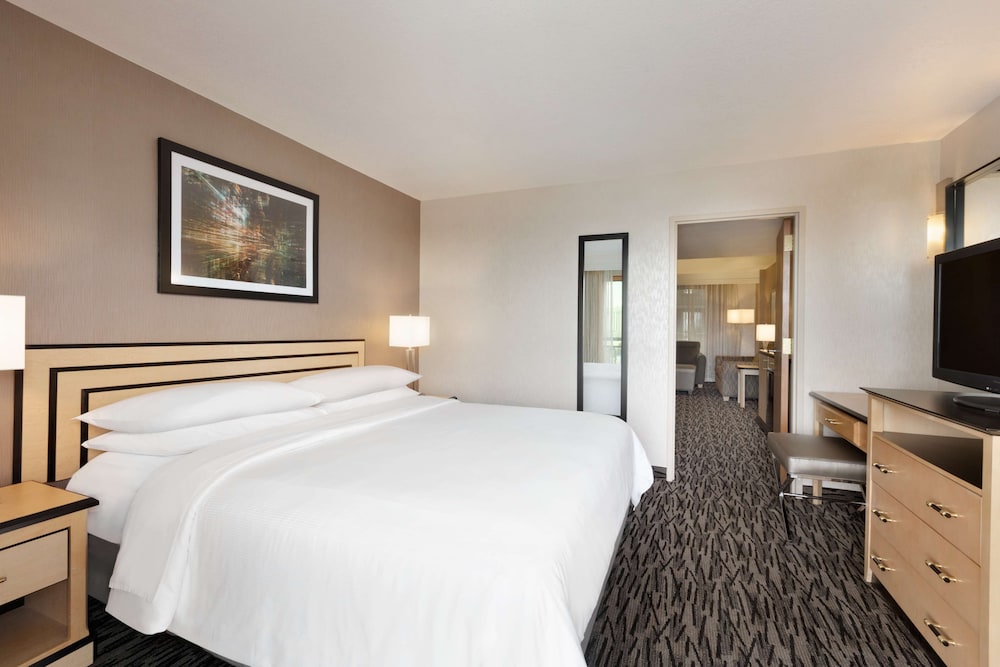 Room, 1 King Bed, Non Smoking photo 2