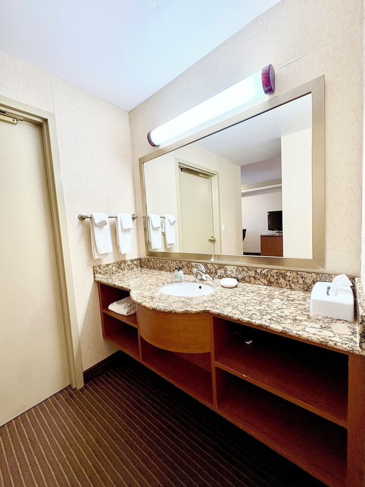 Business Suite, 1 King Bed with Sofa bed, Non Smoking - Photo 11