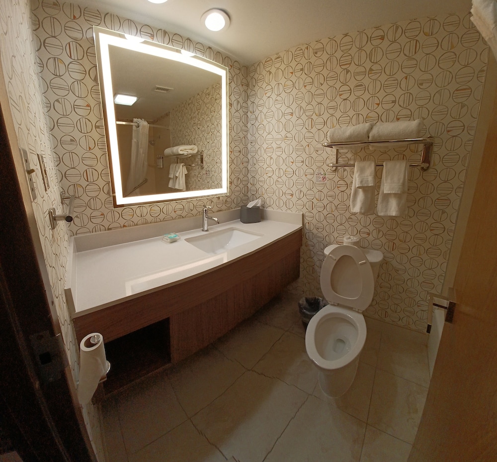 Suite, 1 King Bed - Photo 4