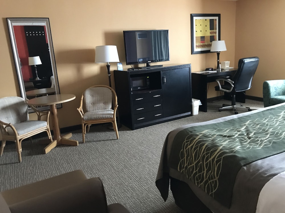 Room, 1 King Bed, Non Smoking - Photo 4