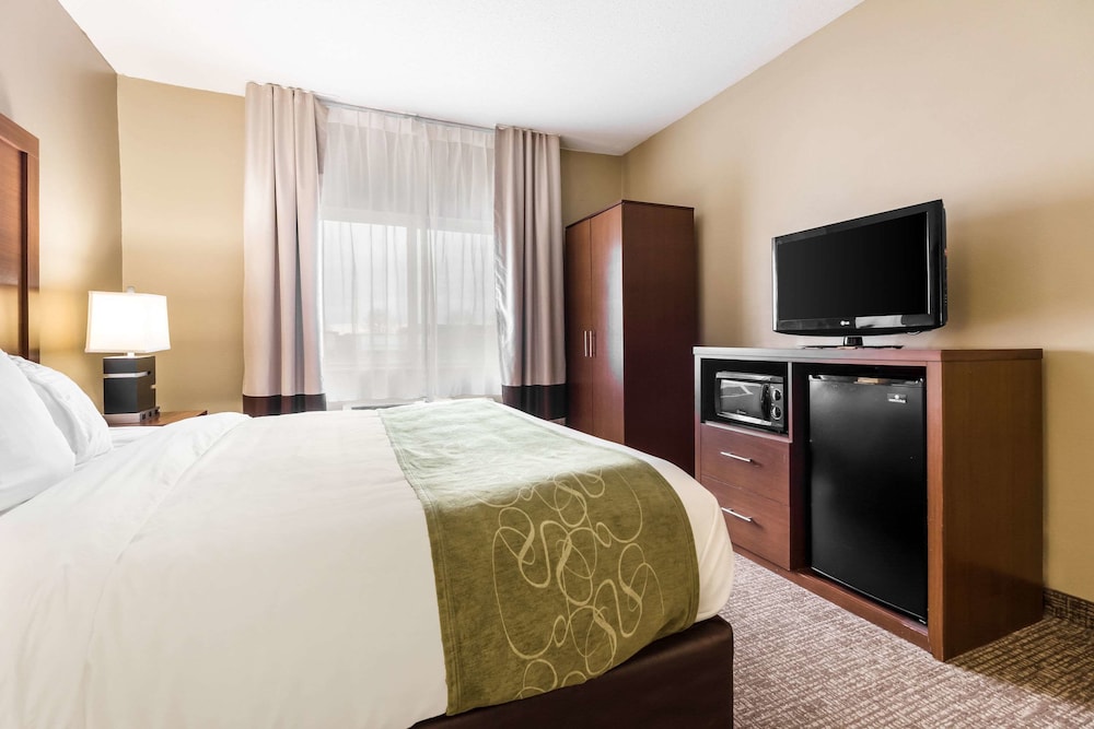 Suite, 1 King Bed, Non Smoking - Photo 2