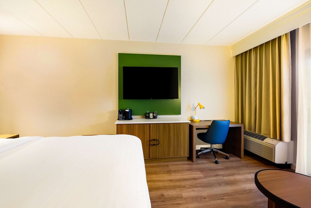 Deluxe Room, 1 King Bed with Sofa bed (Balcony) - Photo 4