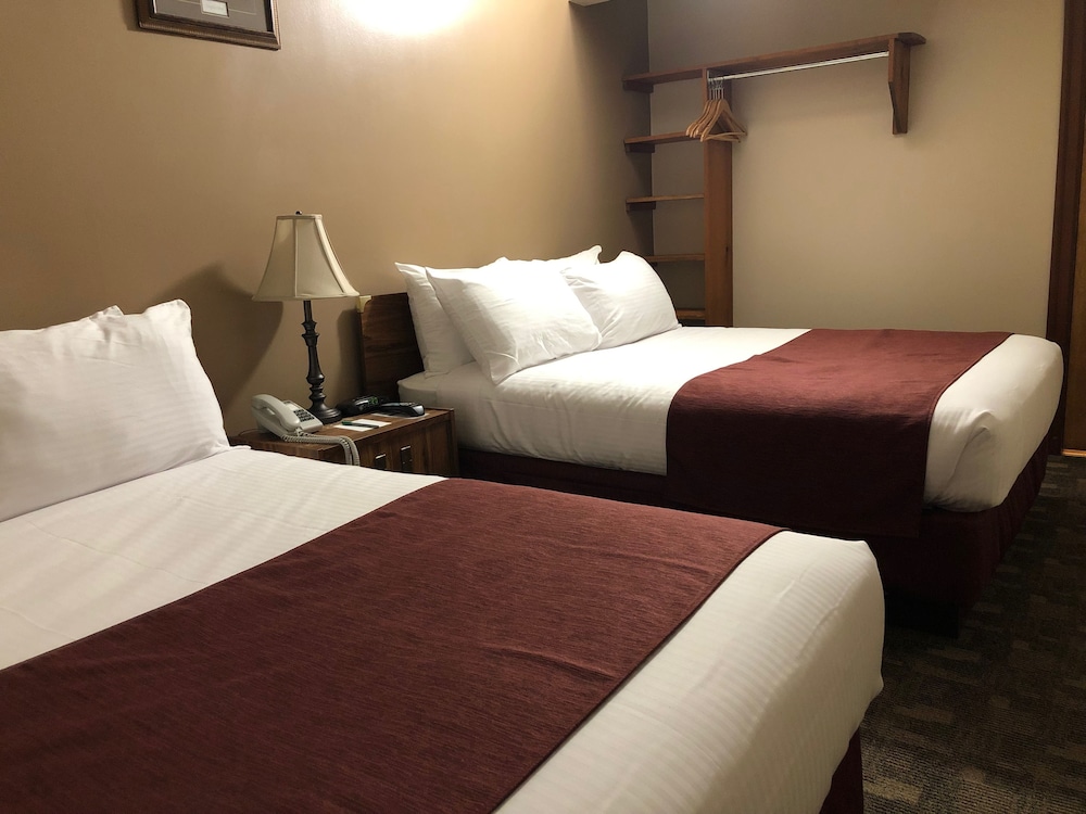 Deluxe Suite, 2 Double Beds, Kitchen (Pet Friendly) photo 1