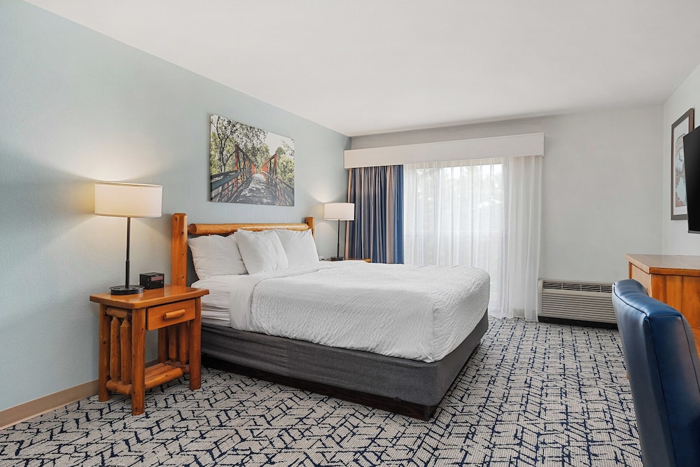 Suite, Multiple Beds, Non Smoking (Efficiency) photo 3