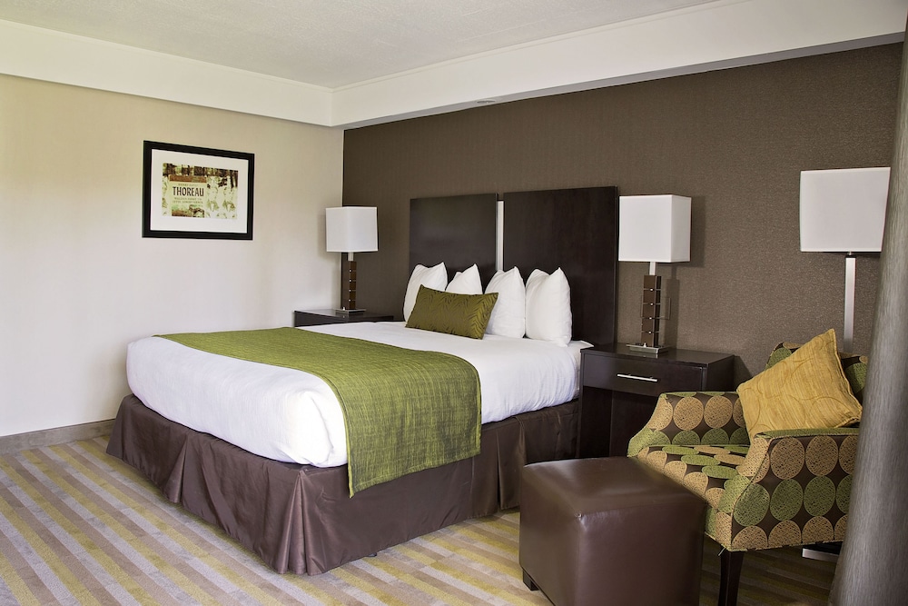 Room, 1 Queen Bed photo 2