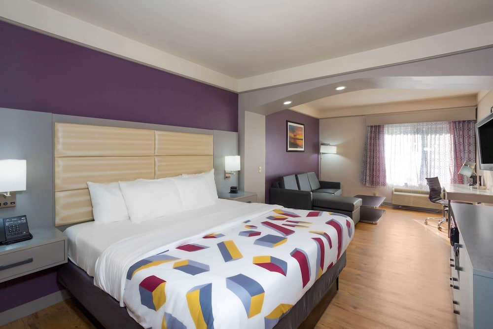 Suite, 1 King Bed - Photo 1