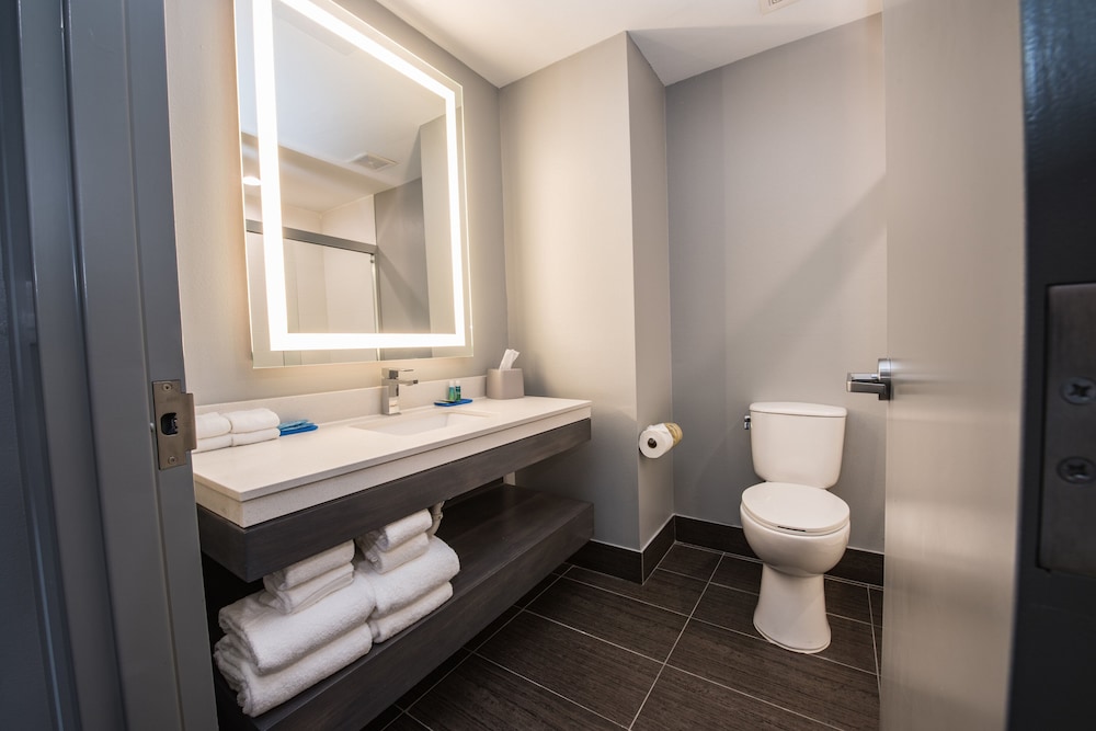 Holiday Inn Express & Suites Houston - Hobby Airport Area by IHG, Fotografia 18