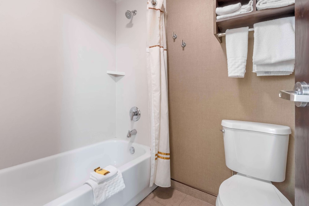Suite, 1 King Bed, Non Smoking, Fireplace (with Sofabed) - Photo 4