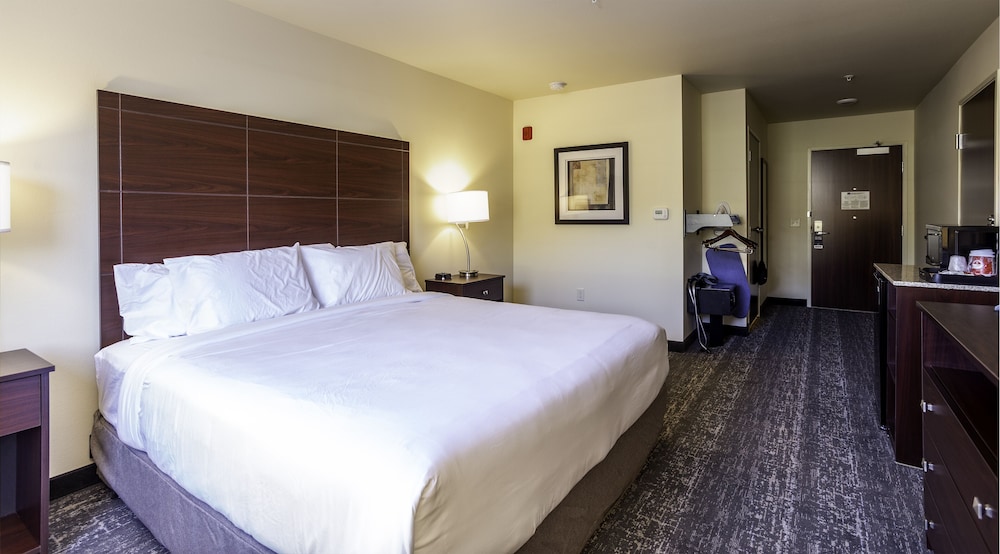Room, 1 King Bed, Accessible, Non Smoking - Photo 1