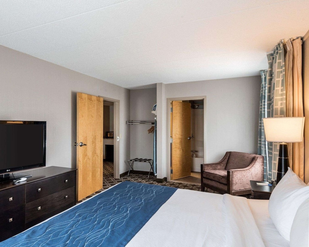 Suite, 1 King Bed with Sofa bed, Non Smoking - Photo 4