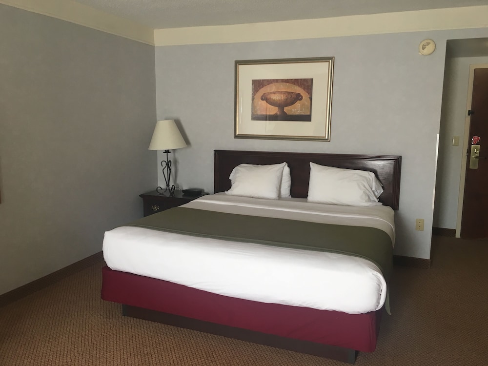Suite, 1 King Bed, Non Smoking (Jacuzzi)