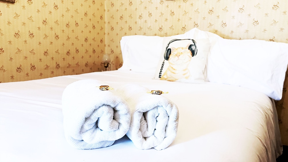 Traditional Single Room, 1 Queen Bed photo 2