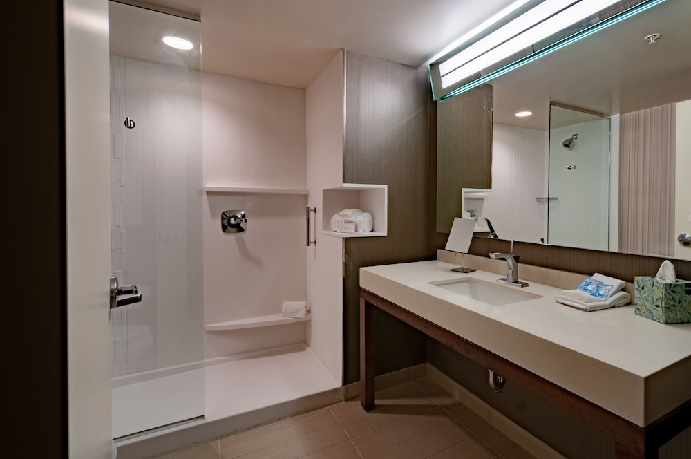Room, 1 King Bed with Sofa bed (Mobility Accessible, Tub) photo 3