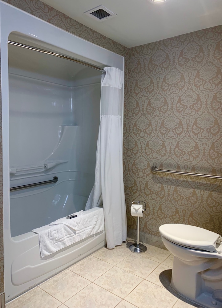 Room, 1 King Bed, Accessible, Non Smoking (City View) - Photo 7