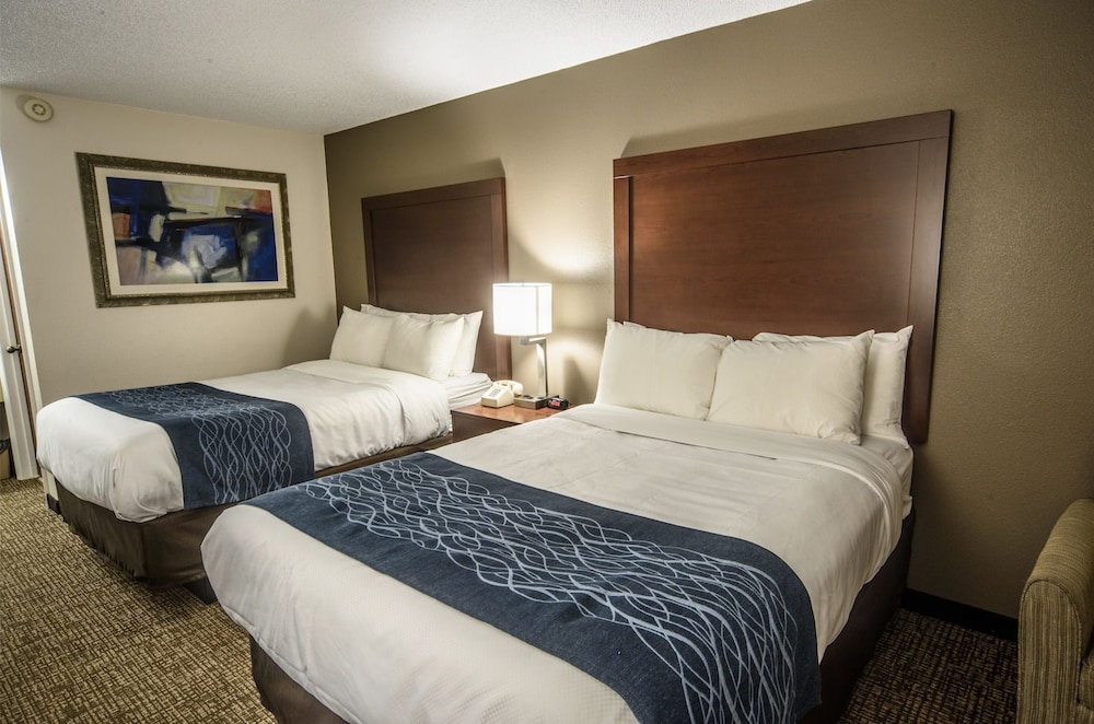 Premium Room, 2 Double Beds photo 3