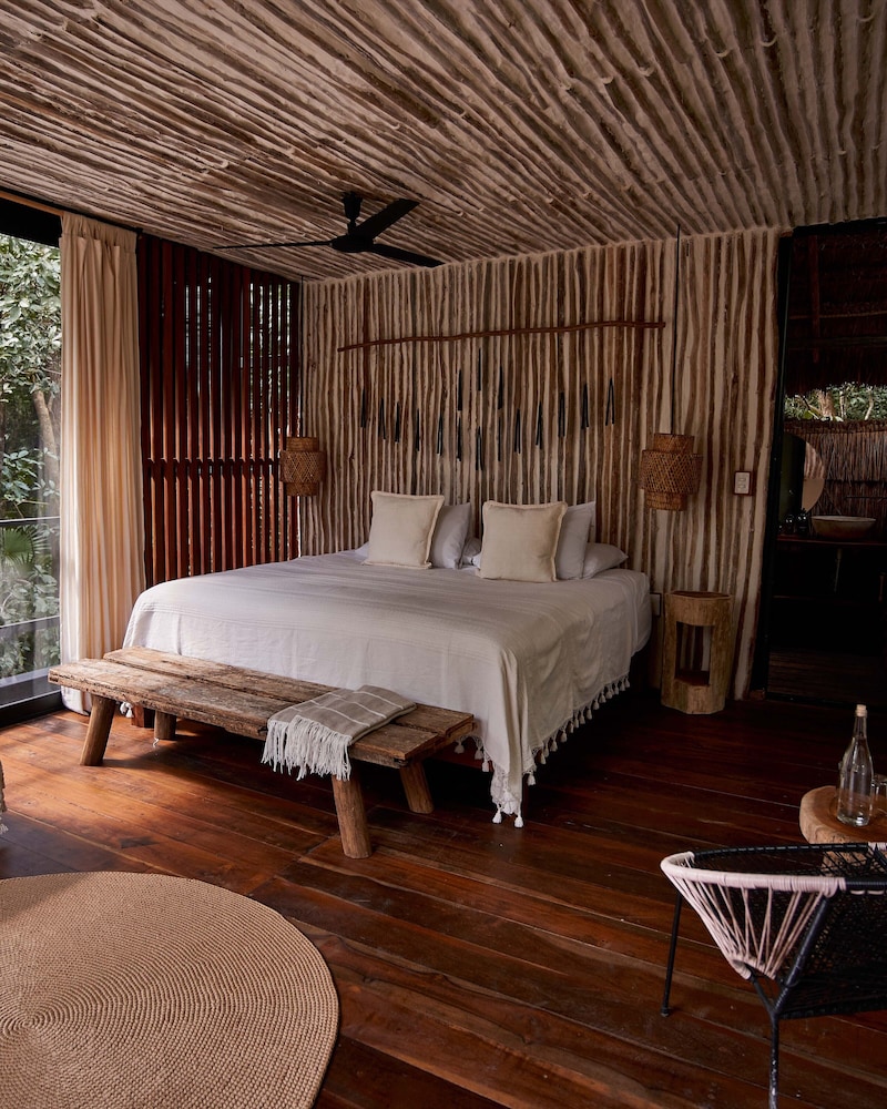 Jungle Suite photo 1