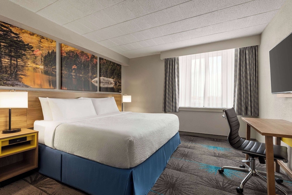 Business Room, 1 King Bed - Photo 2