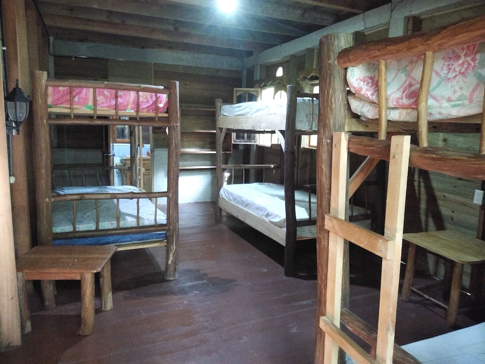 Basic Shared Dormitory photo 1