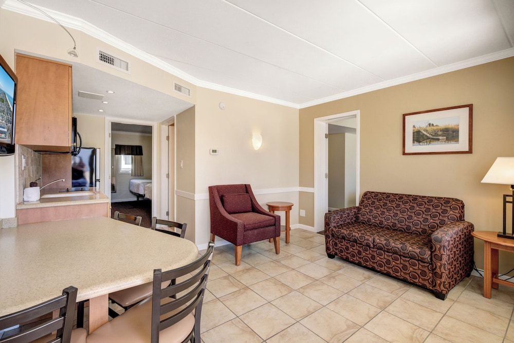 Premium Suite, Multiple Beds