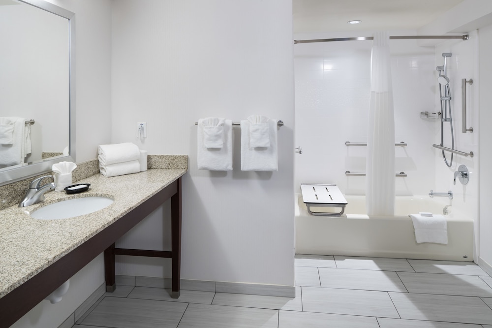 Room, 1 King Bed, Accessible, Bathtub - Photo 8