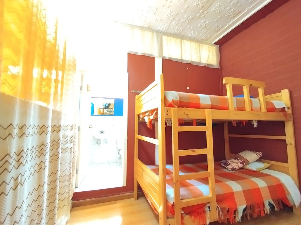 Classic Shared Dormitory photo 1