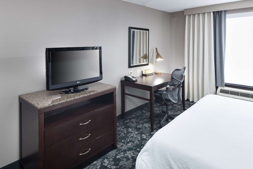 Suite, 1 King Bed - Photo 3