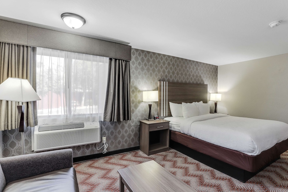 Standard Room, 1 King Bed, Non Smoking, Refrigerator & Microwave - Photo 2