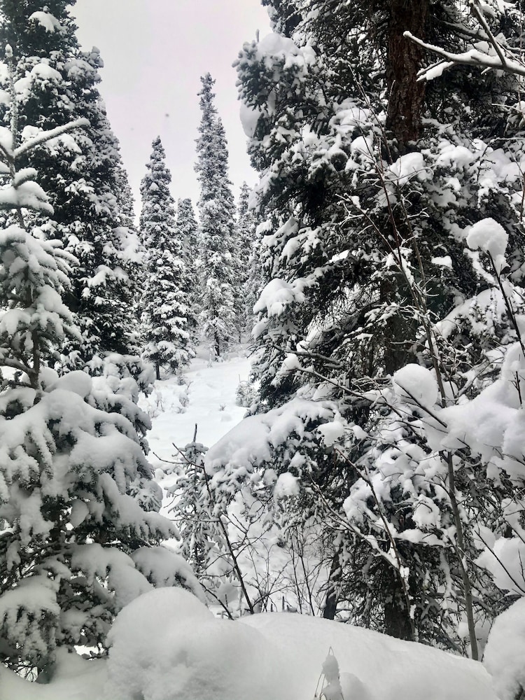 Aurora Denali Lodge, Φωτογραφία 4