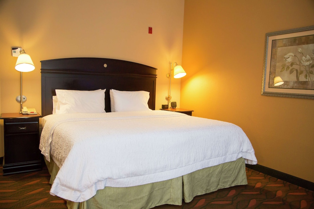 Suite, 1 King Bed, Accessible, Non Smoking - Photo 4