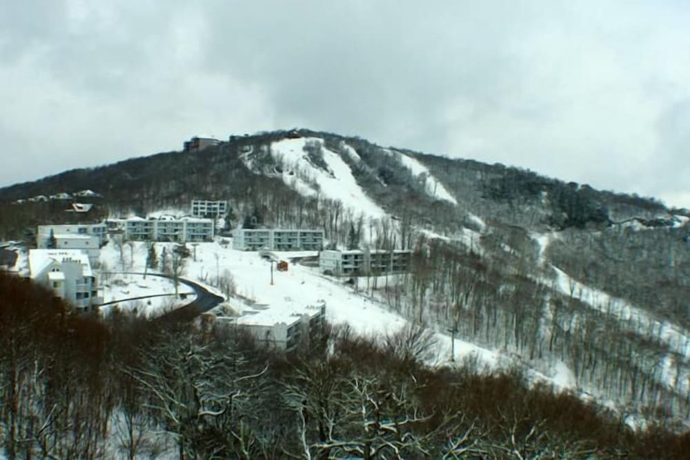 Studio, Multiple Beds (Sugar Ski & Country Club Unit 11-402 ) photo 2