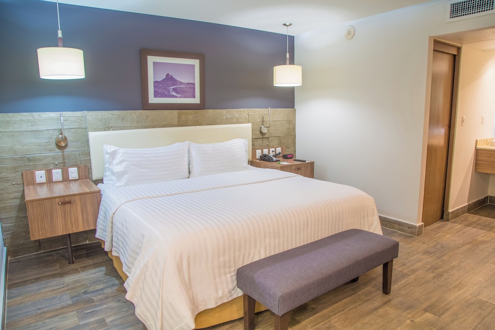 Suite, 1 King Bed - Photo 1