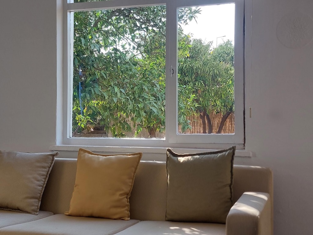 Premium Studio Suite, 1 Queen Bed, Beachside photo 1
