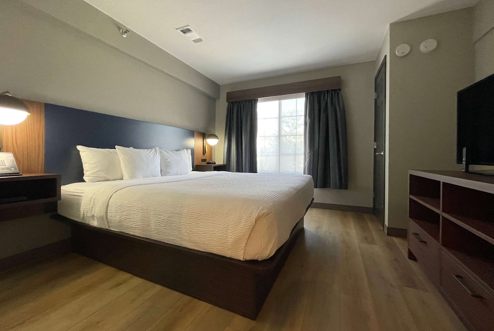 Suite, 1 King Bed, Non Smoking photo 3