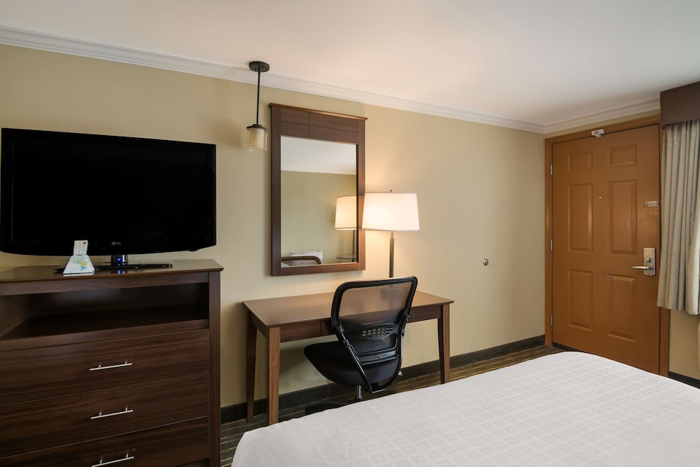 Standard Room, 2 Queen Beds, Non Smoking, Refrigerator & Microwave (Third bed is a Sofabed) - Photo 4
