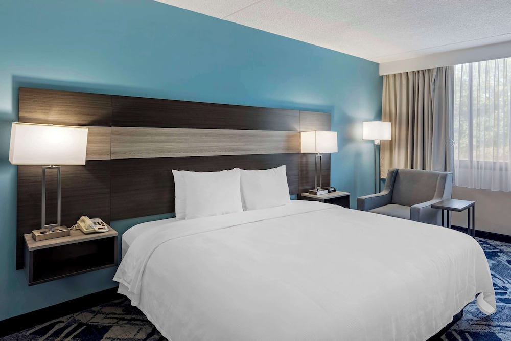 Standard Room,1 King Bed, Accessible, Roll-in Shower, Refrigerator & Microwave - Photo 7