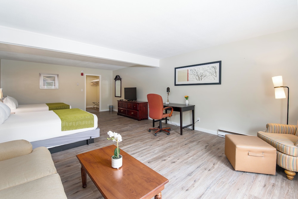 Deluxe Studio Suite photo 3