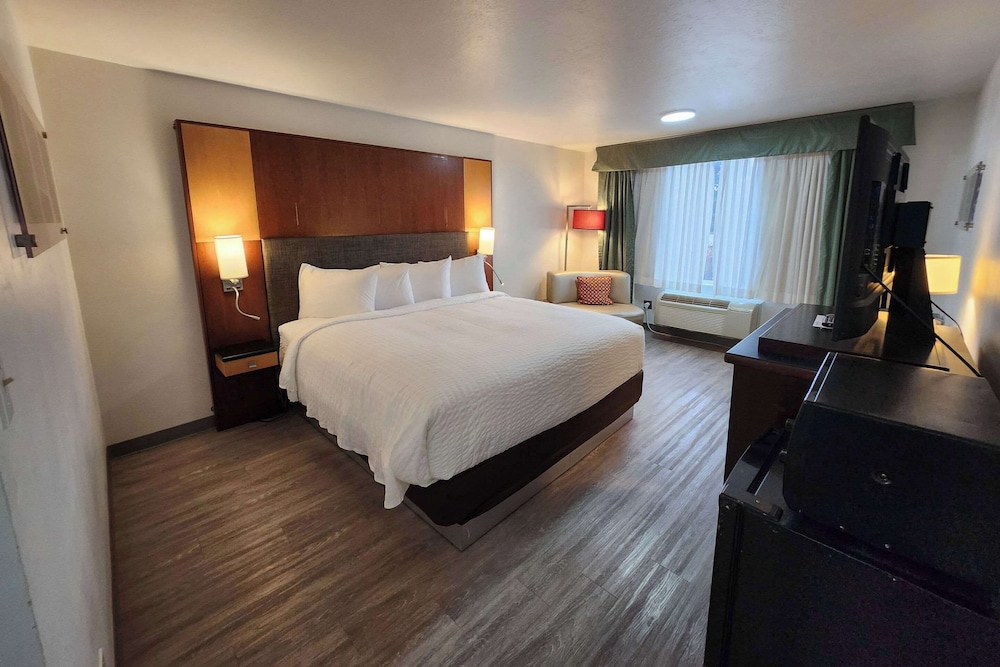 Room, 1 King Bed, Non Smoking - Photo 3