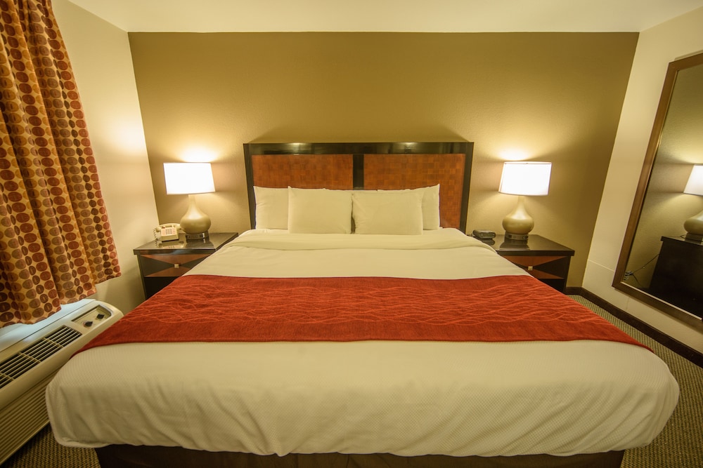Standard Suite, 1 King Bed photo 1