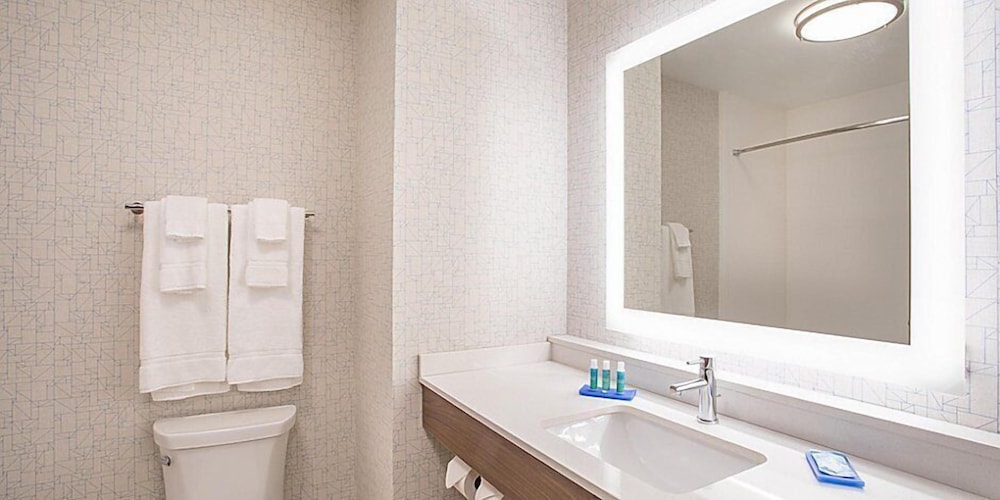 Standard Room, 1 King Bed, Accessible (Comm, Accessible Tub) - Photo 7
