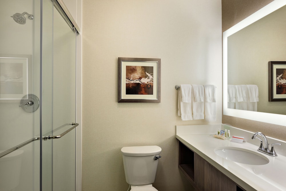 Suite, 1 Bedroom, Accessible (Hearing) photo 3
