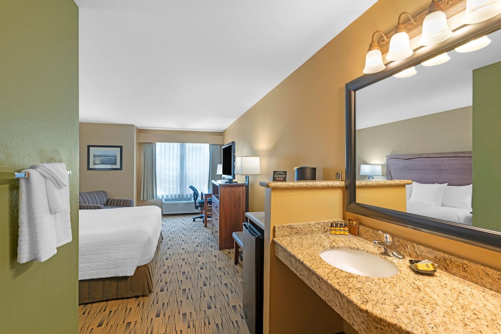 Standard Room, 1 King Bed, Accessible, Refrigerator & Microwave