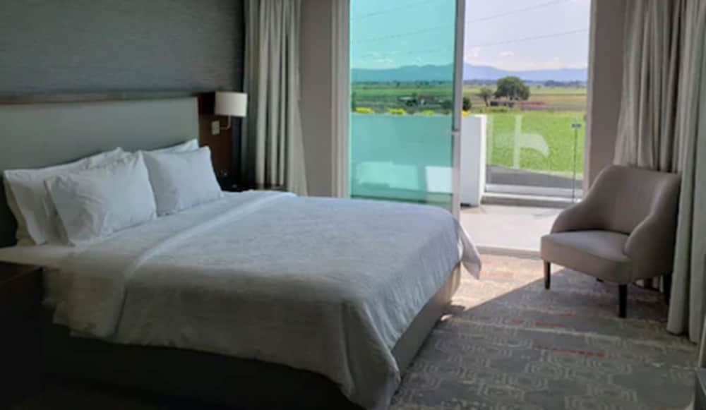 Suite, 1 Bedroom, Balcony photo 2