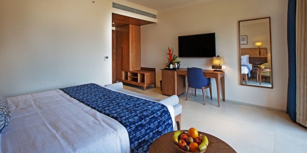 Deluxe Room - Photo 1