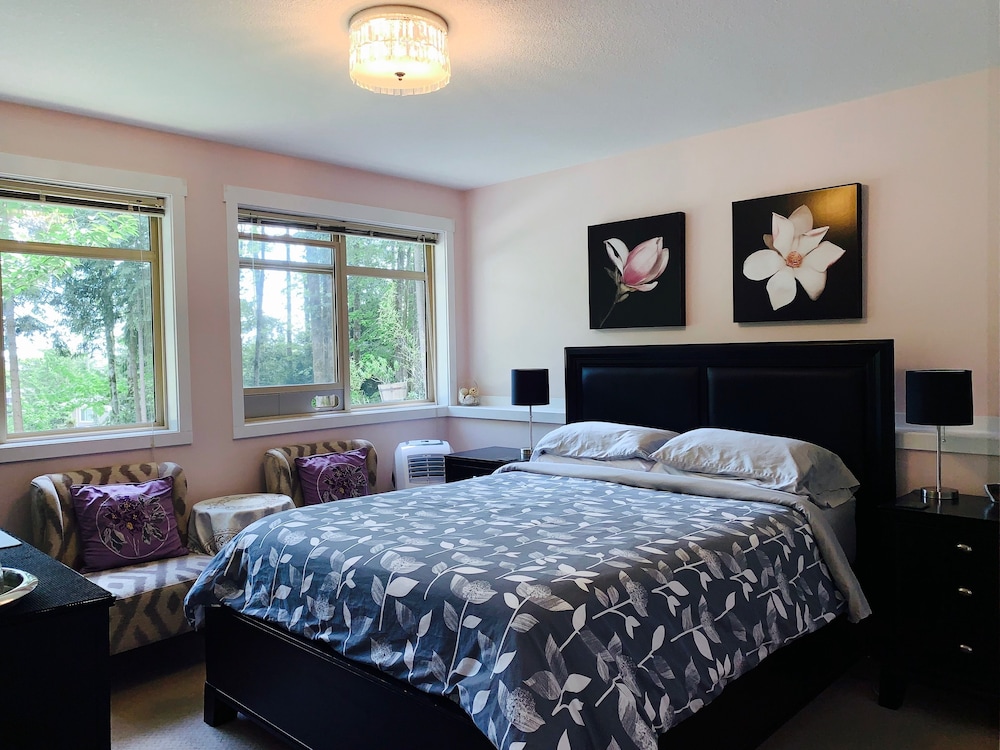 Comfort Room, 1 Queen Bed, Allergy Friendly, Park View photo 1