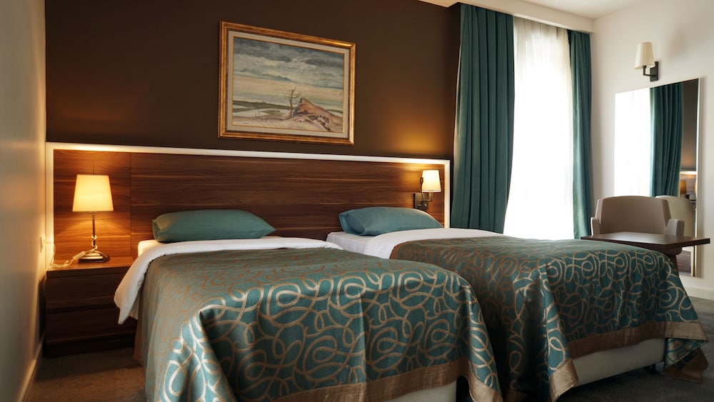 Deluxe Single Room photo 2