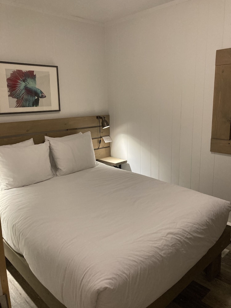 Deluxe Suite, 1 Bedroom, Kitchen photo 2