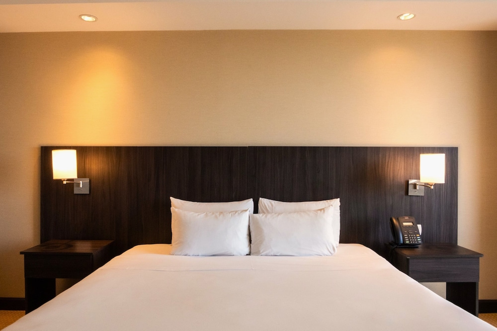 Room, 1 King Bed
