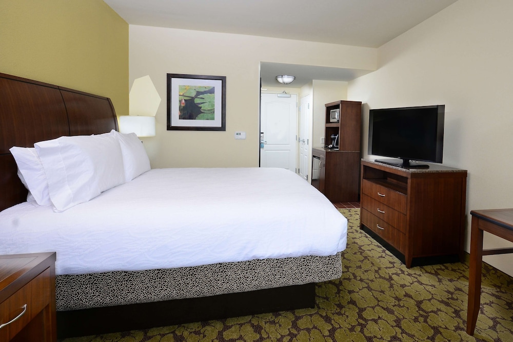 Room, 1 King Bed, Accessible (3x3 Shower) photo 2