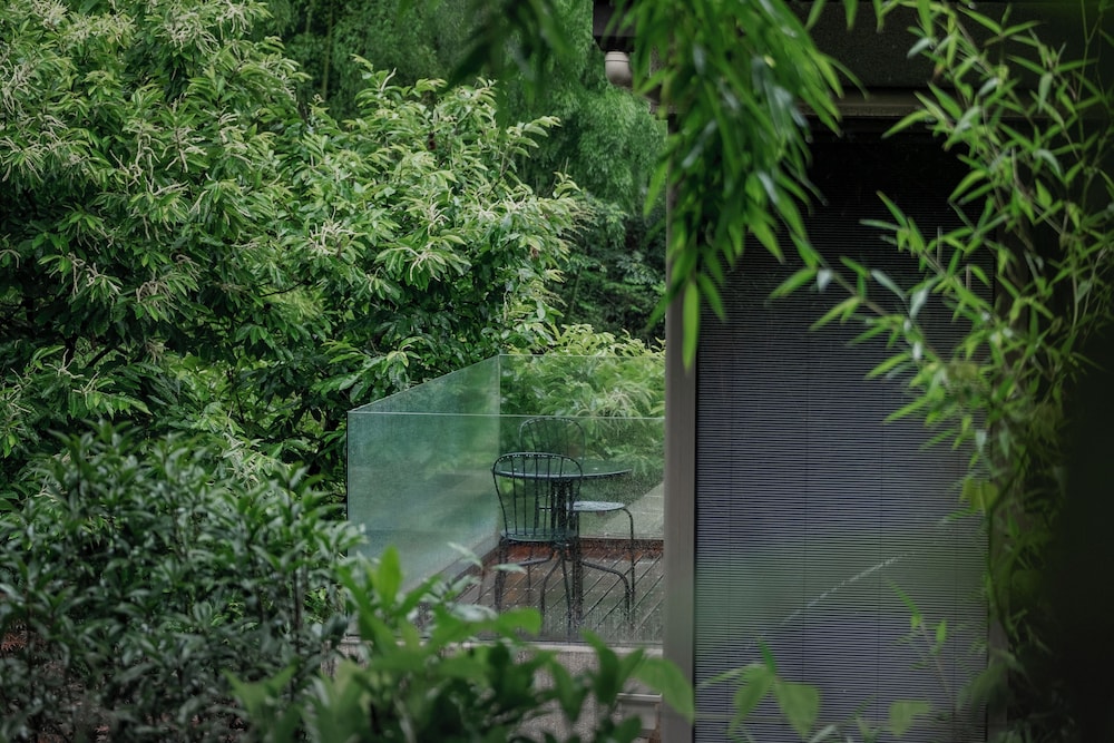 Senior Suite, Courtyard View